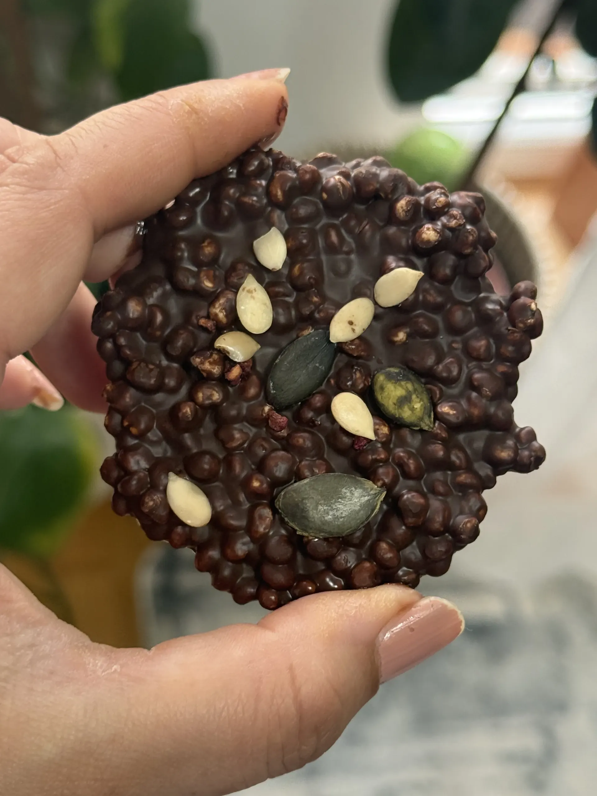 Chocolate Millet Crunches